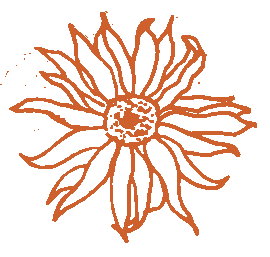 Illustration florale en forme de marguerite de l'Instant par Phé, photographe Bordeaux & Gironde