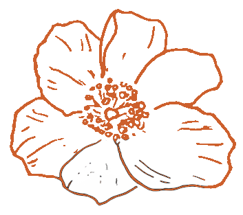 Illustration florale en forme de fleur de tiaré de l'Instant par Phé, photographe Bordeaux & Gironde