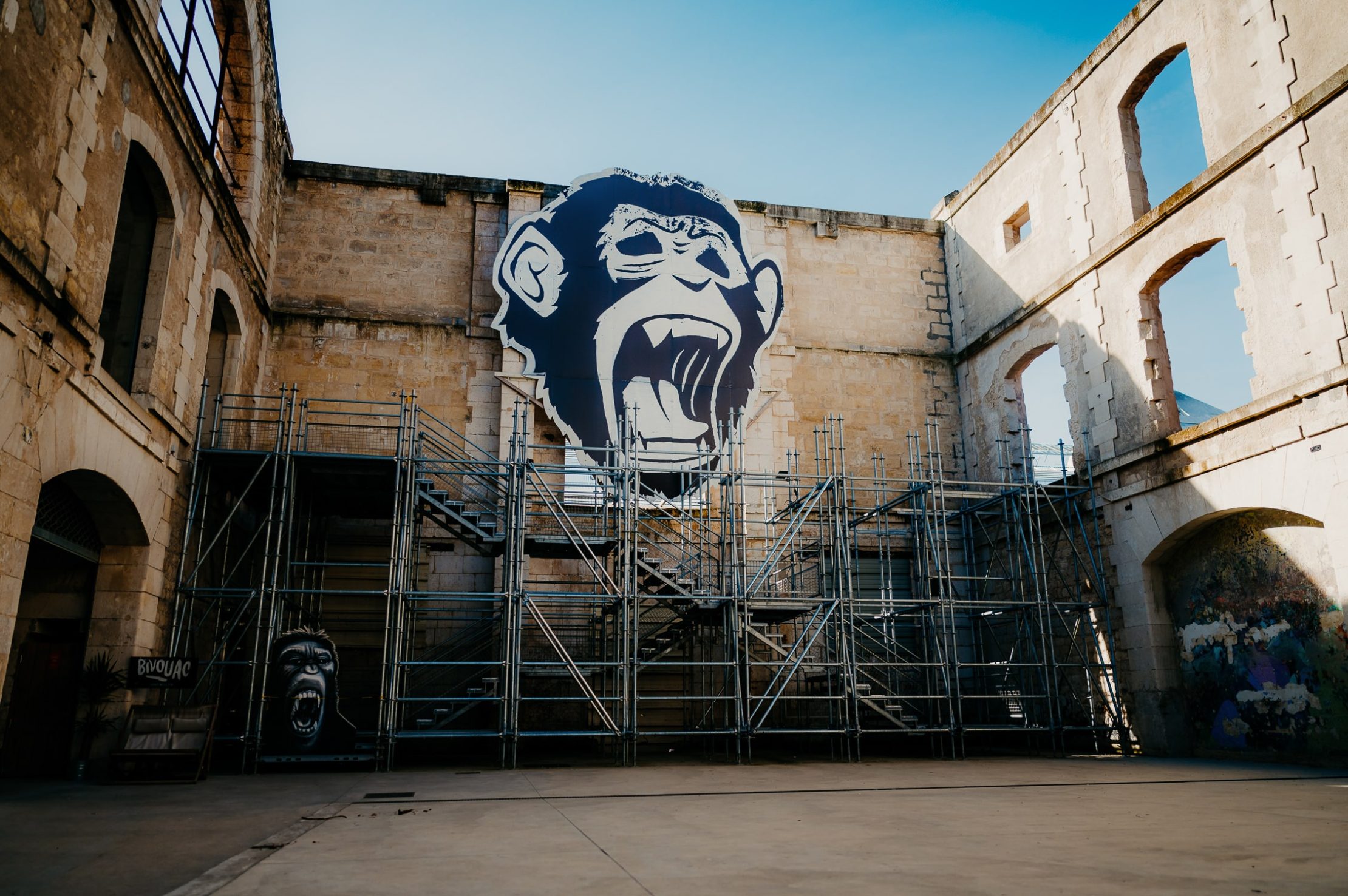 une photo détail d'un joli tag à Darwin, un singe en noir et blanc